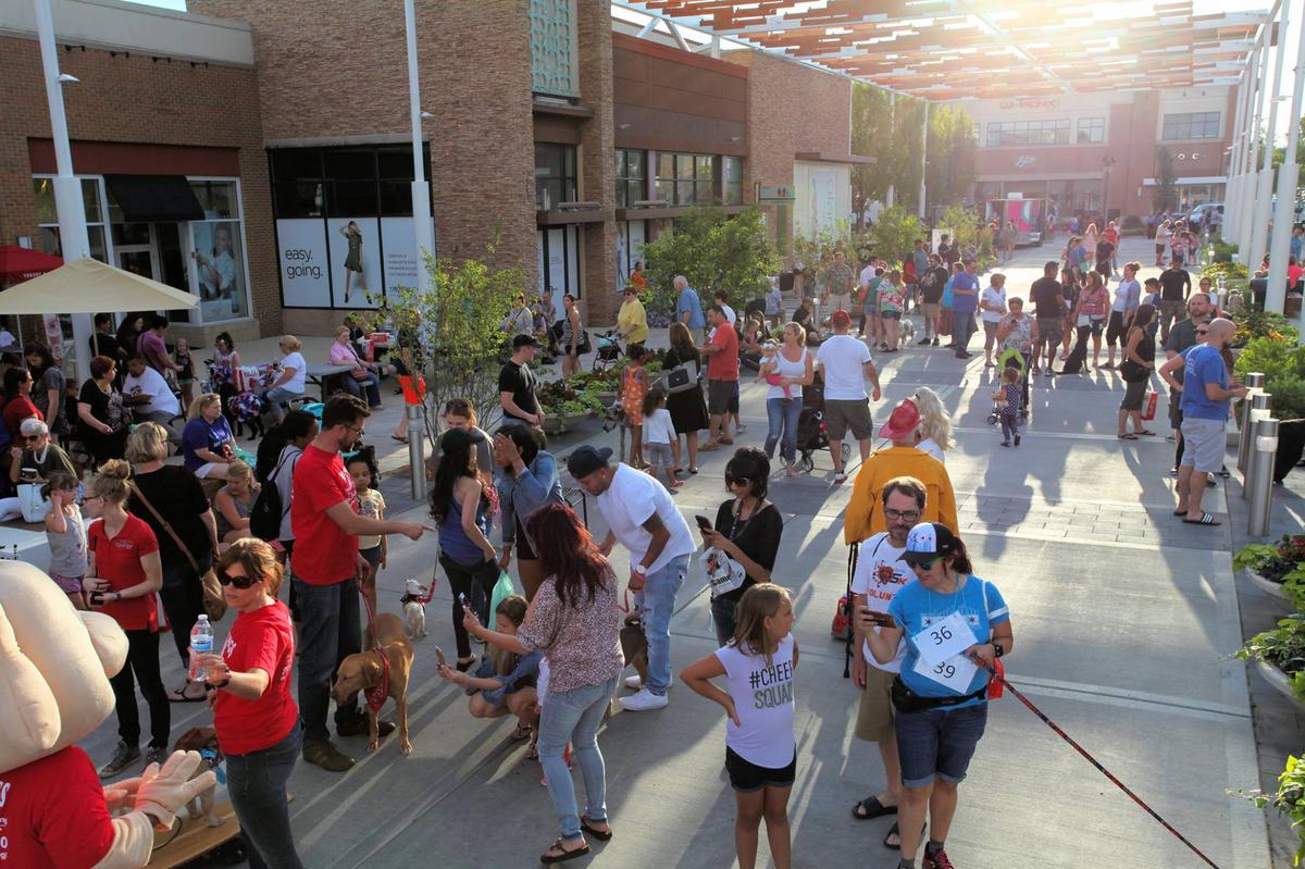 Annual Fall Vendor & Craft Show at The Promenade Bolingbrook