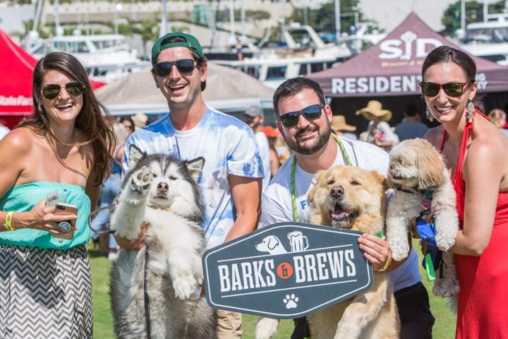 Dog Events In California Bringfido Dog Events Ca Bay Area 2022