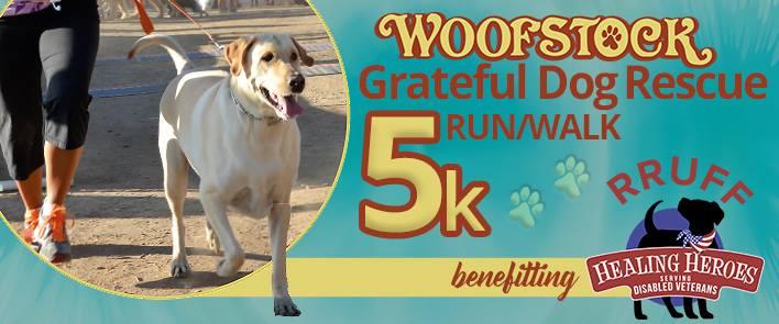 The Grateful Dog Rescue Run