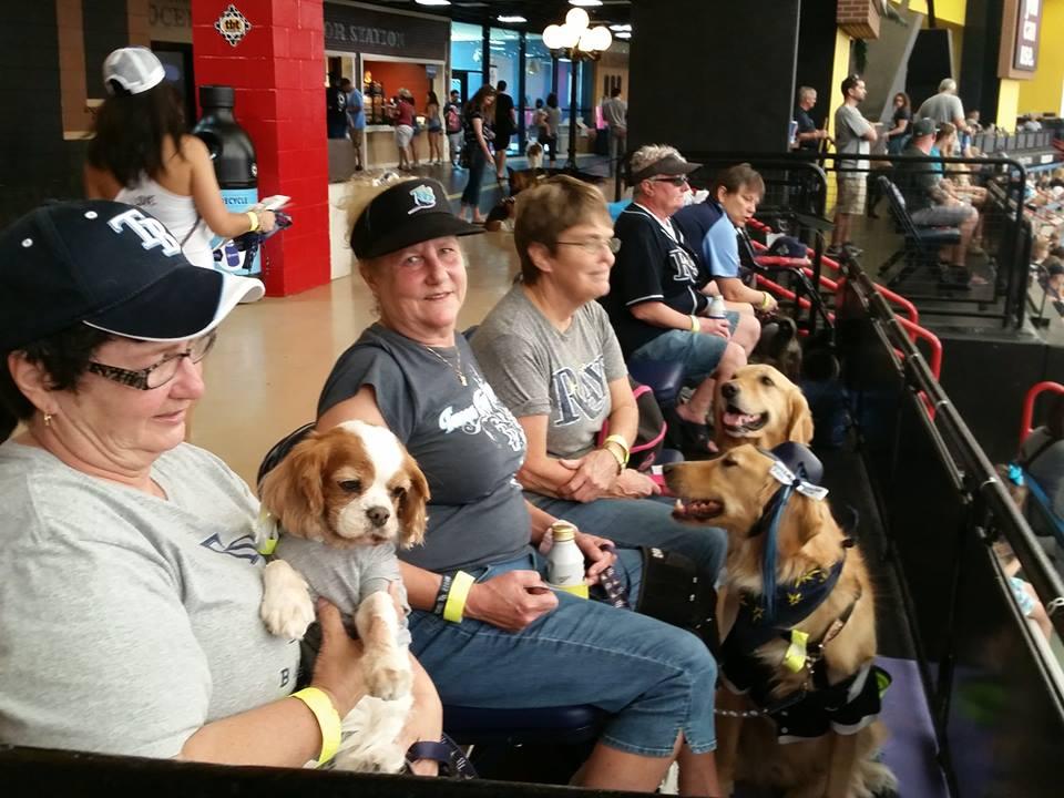 Dog Day at the Rays