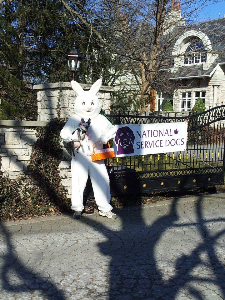 Pet Friendly National Service Dogs’ Easter Egg Hunt for Dogs