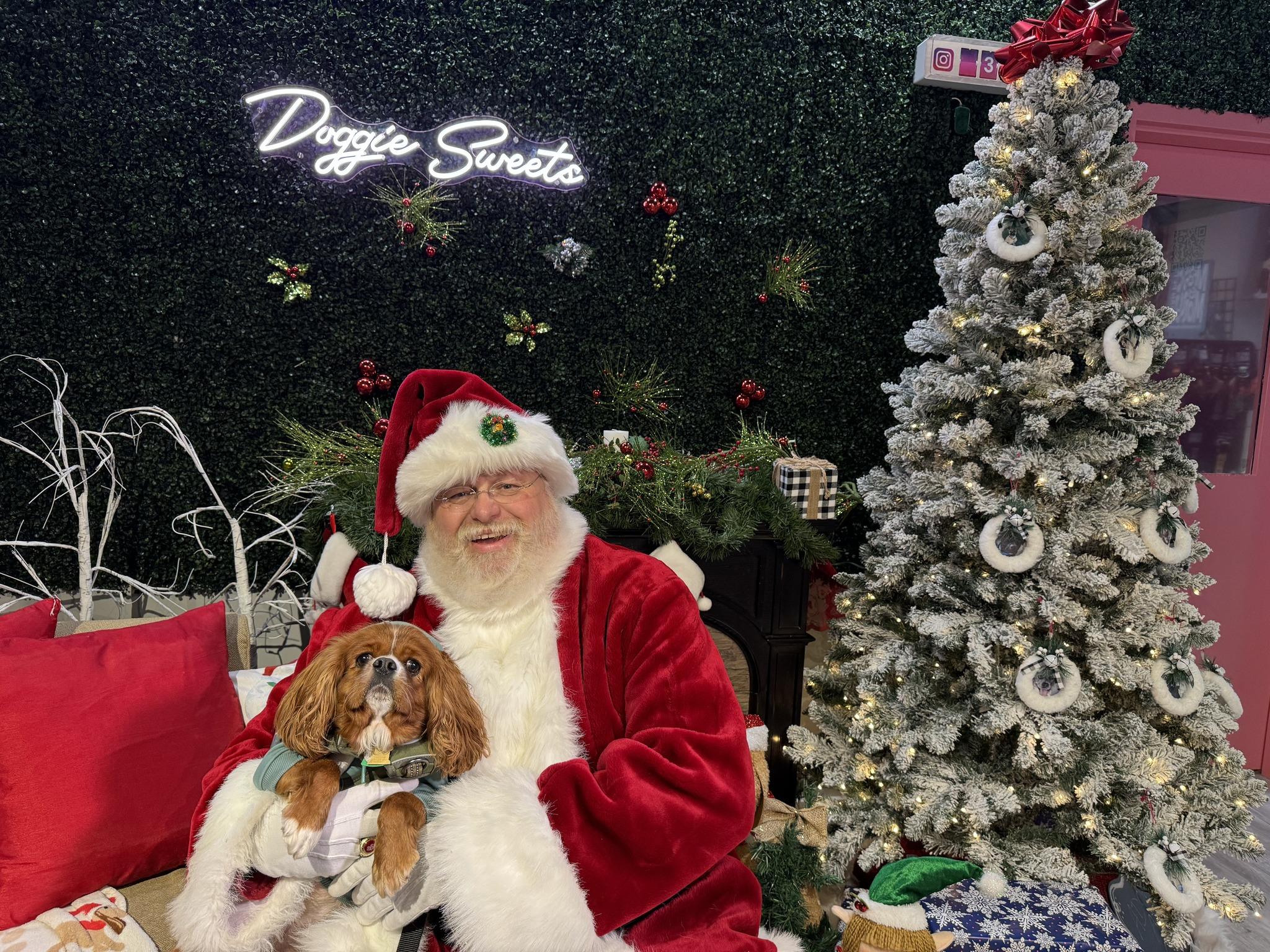 Pet Friendly Pictures with Santa