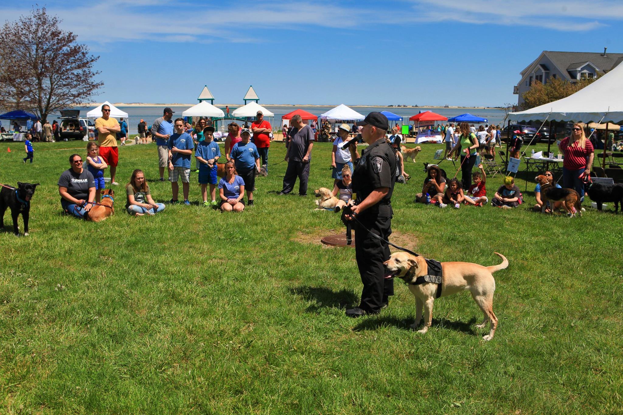 Pet Friendly Bark In The Park