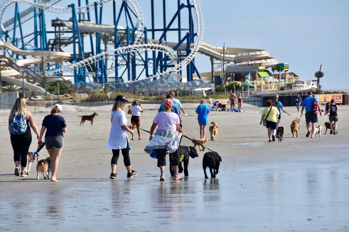 are dogs allowed on the wildwood boardwalk