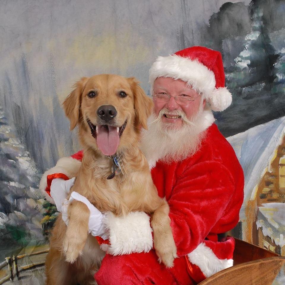 Petco 3 Legged Dog Christmas 2022 CANCELED Pictures with Santa at Petco Petco 3 Legged Dog Christmas 2022 CANCELED Pictures with Santa at Petco