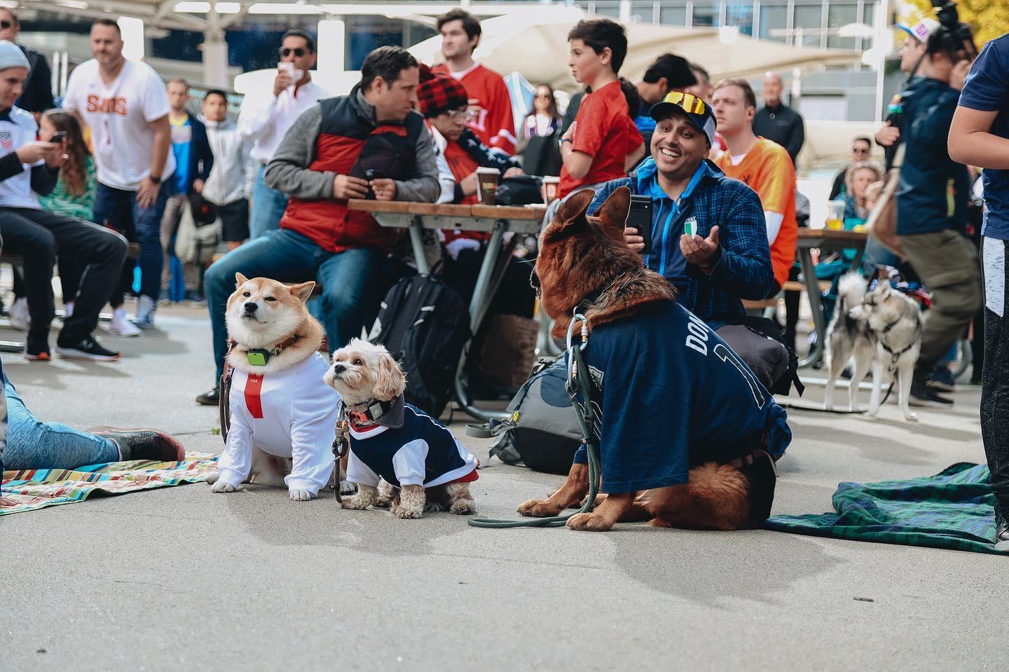 Pet Friendly Dog Days of Summer