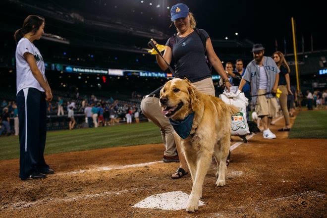 Bark at the Park in Seattle, 05/24/2016