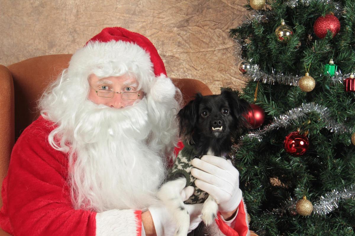 Picture Your Pet With Santa