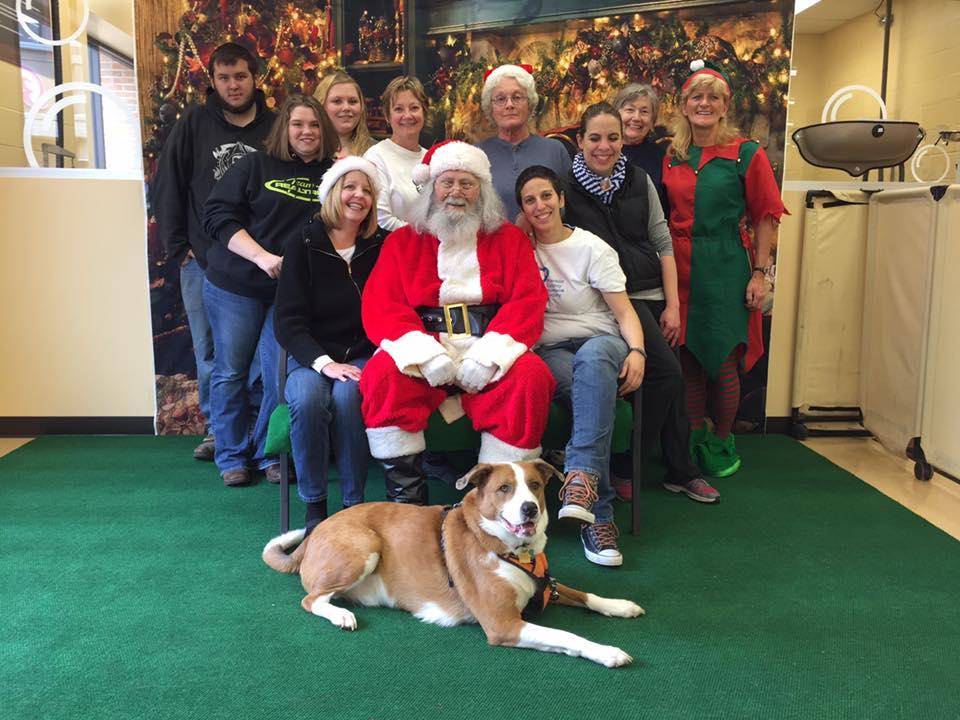 Picture Your Pet With Santa