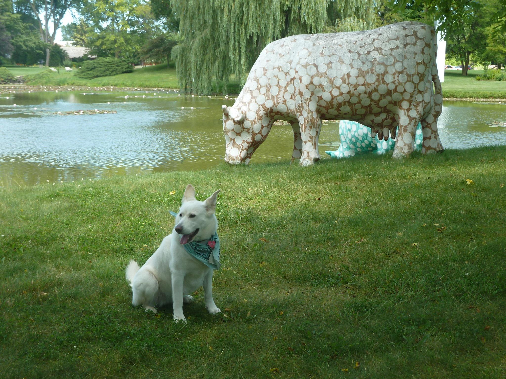 Pet Friendly Dog Days at Lynden Sculpture Garden
