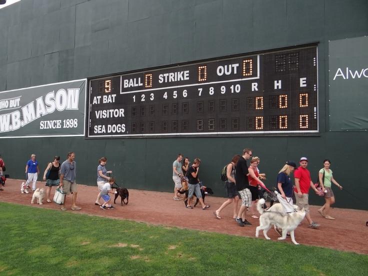 Portland Sea Dogs announce 6 'Bark in the Park' games for this season