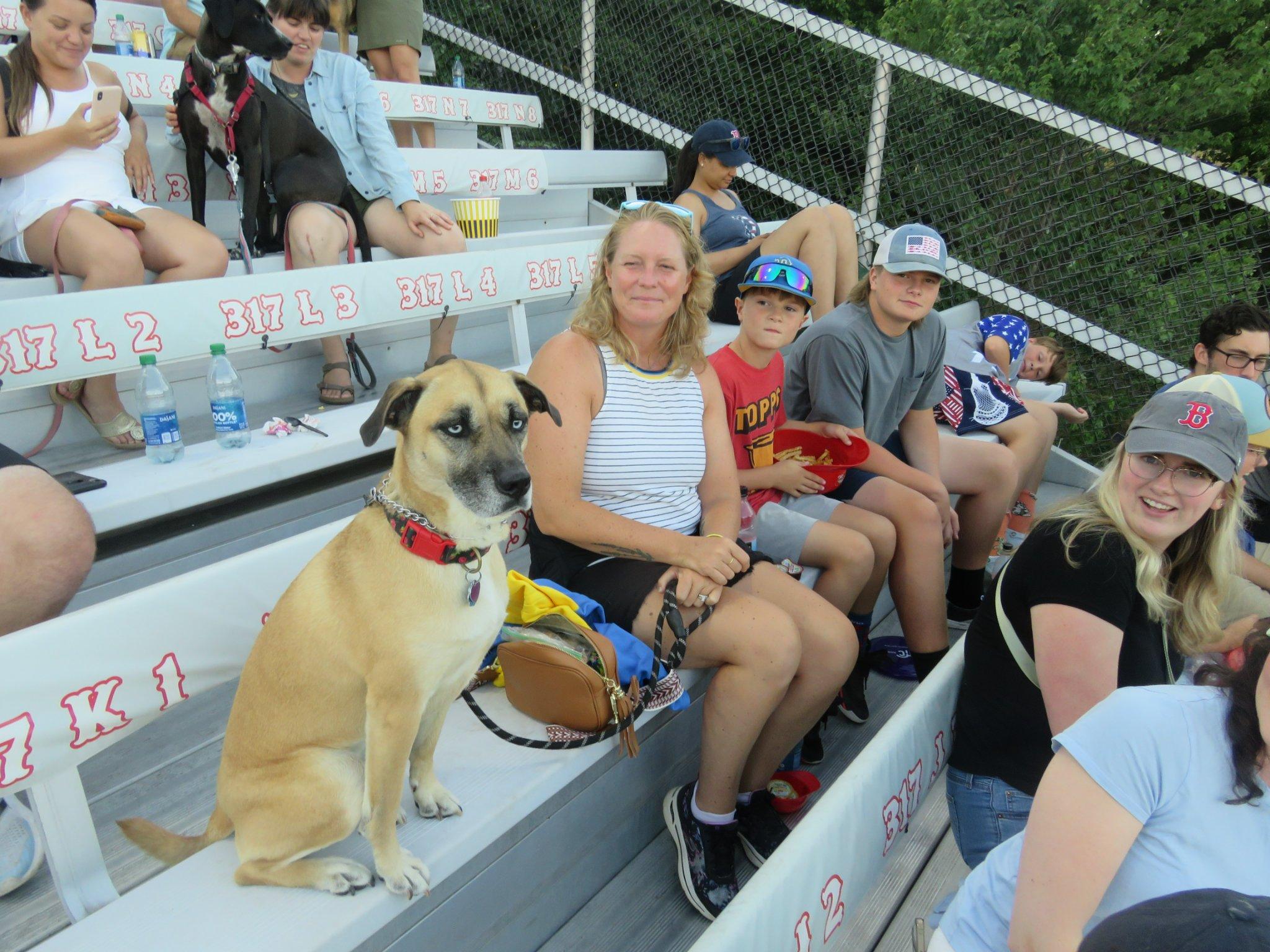 Portland Sea Dogs announce 6 'Bark in the Park' games for this season