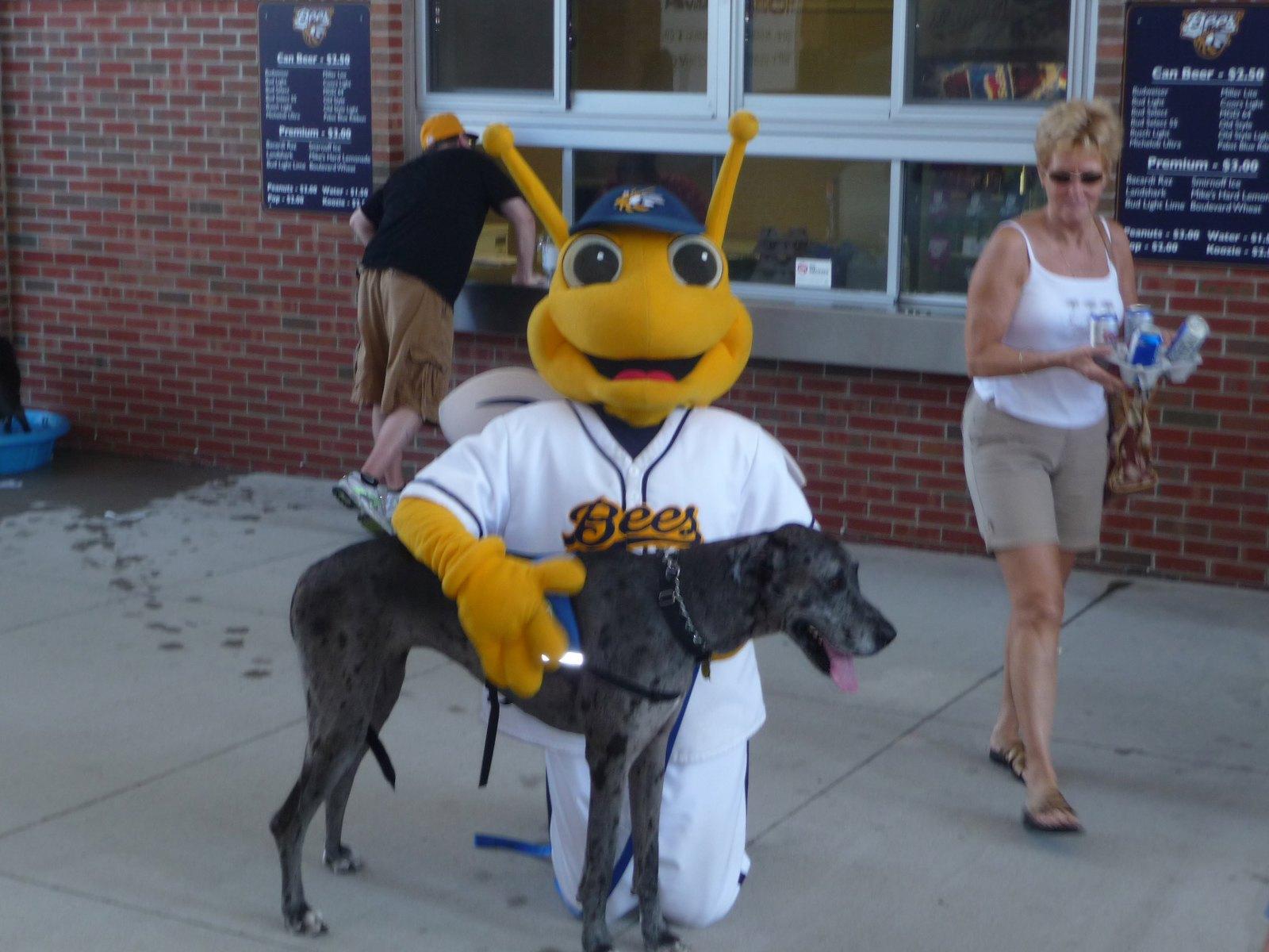 Pet Friendly Pups and Pints with Burlington Bees