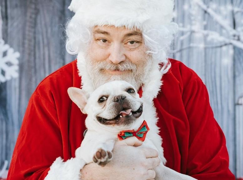 BringFido to Pictures with Santa at Two Shepherds Taproom