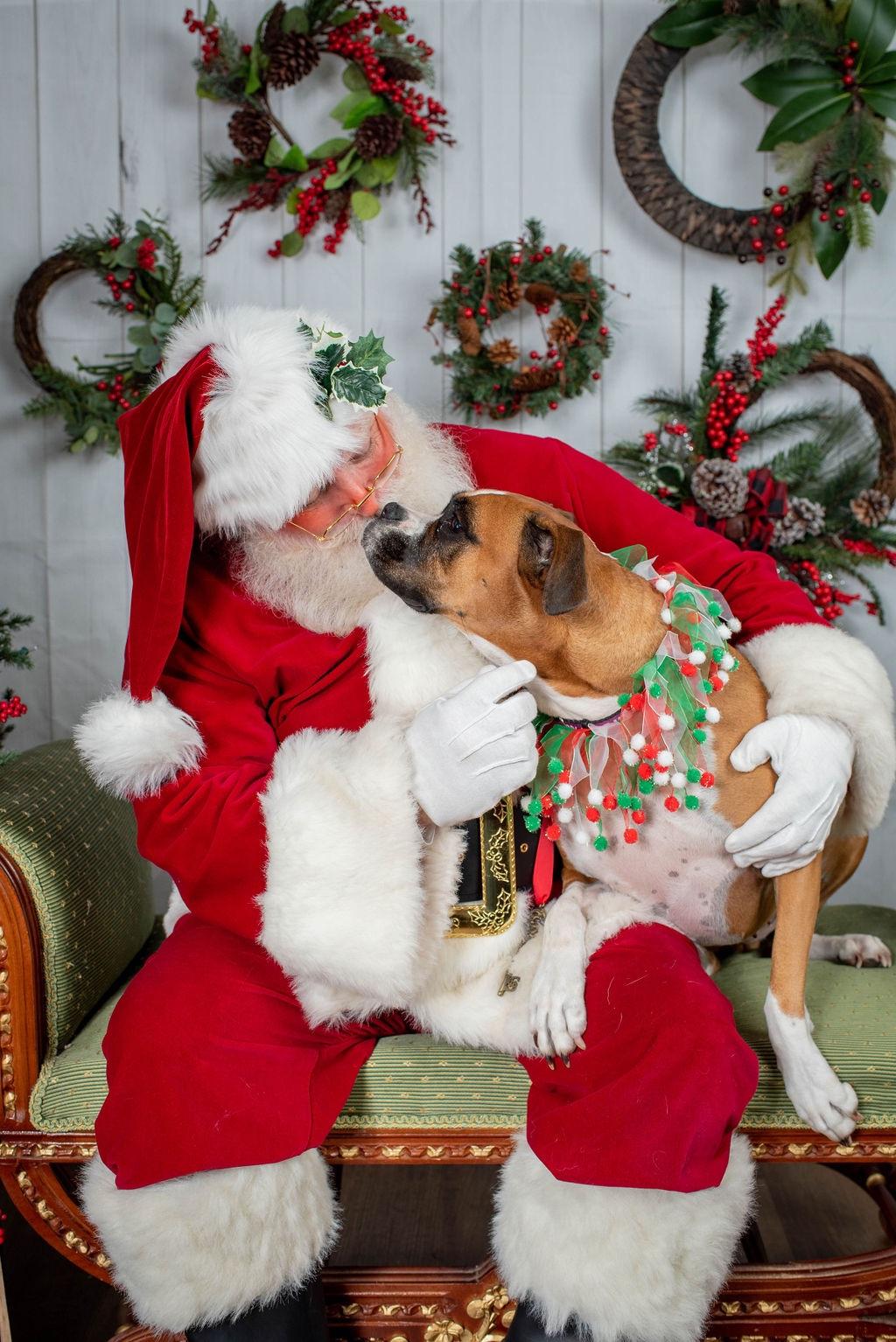 BringFido to Santa Pics at The Doggie Bag