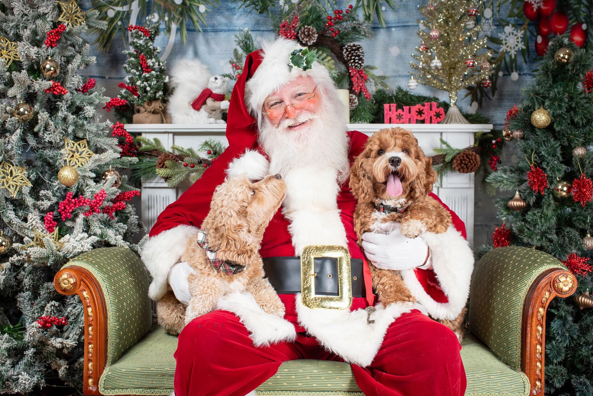 Pet Friendly Santa Pics at The Doggie Bag