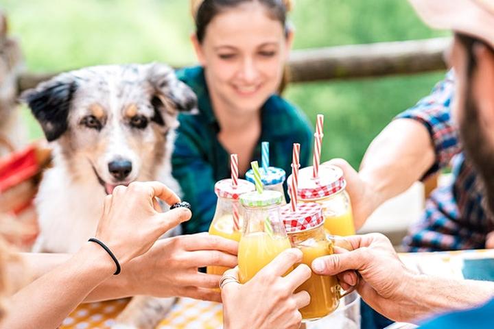 Pet Friendly Yappy Hour at Harbor Point Commons Park Dog Run