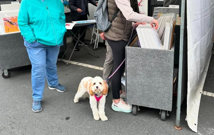 Pet Friendly Annual Art in the Village