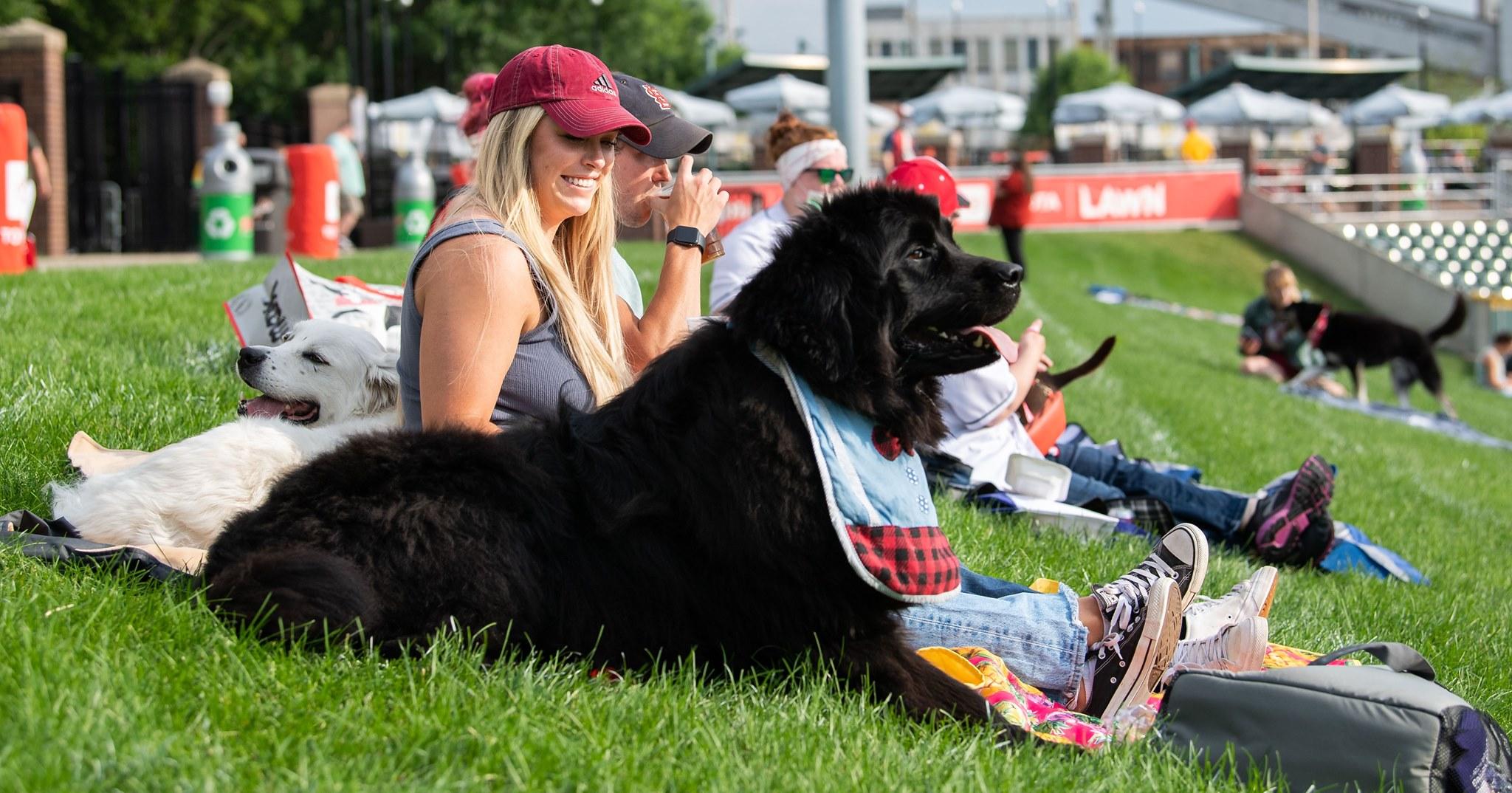 Pet Friendly Bark in the Park with the Indianapolis Indians
