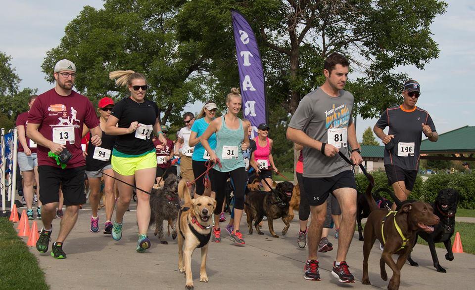 11th Annual Rocky Mountain Lab Rescue 5K