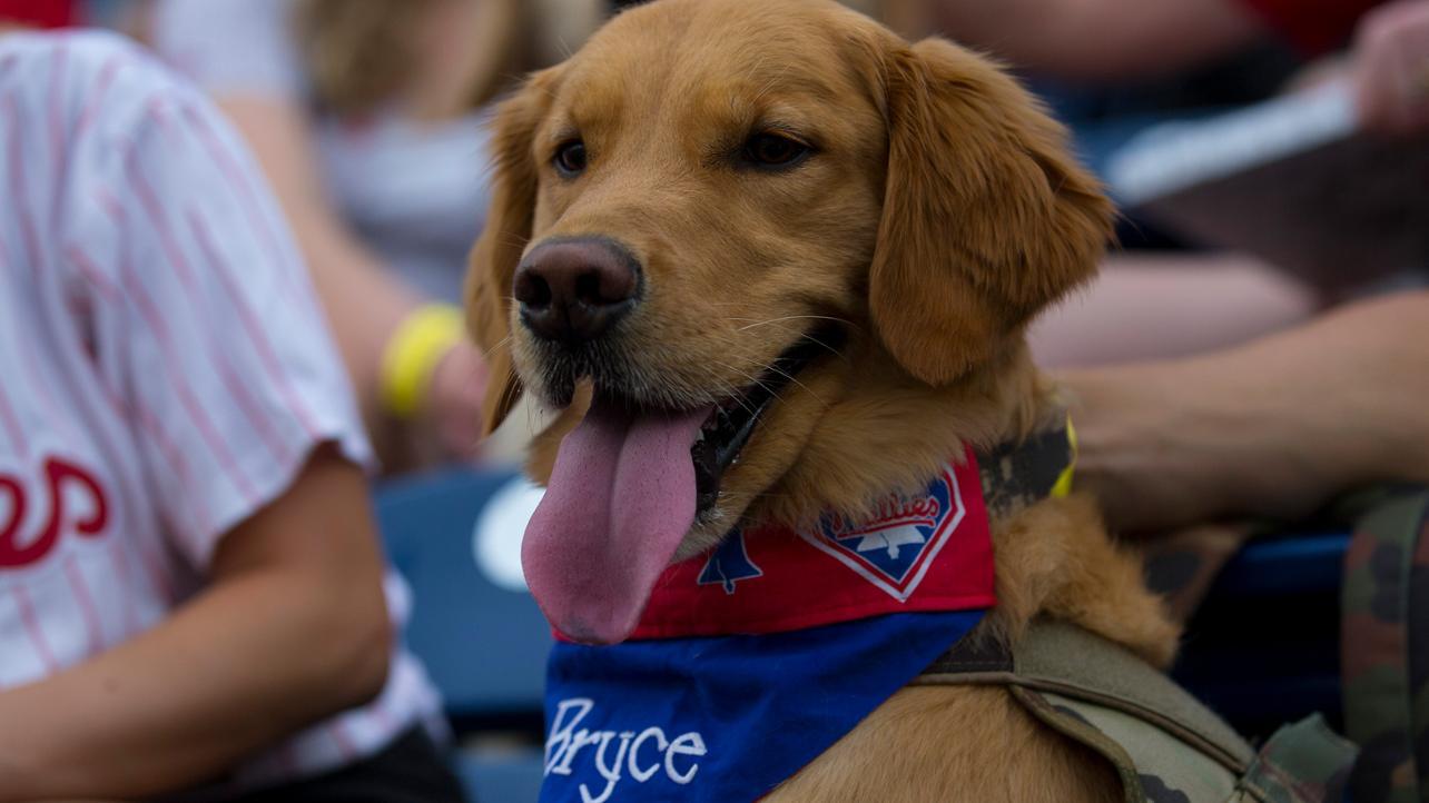 BringFido to Bark at the Park with the New York Mets