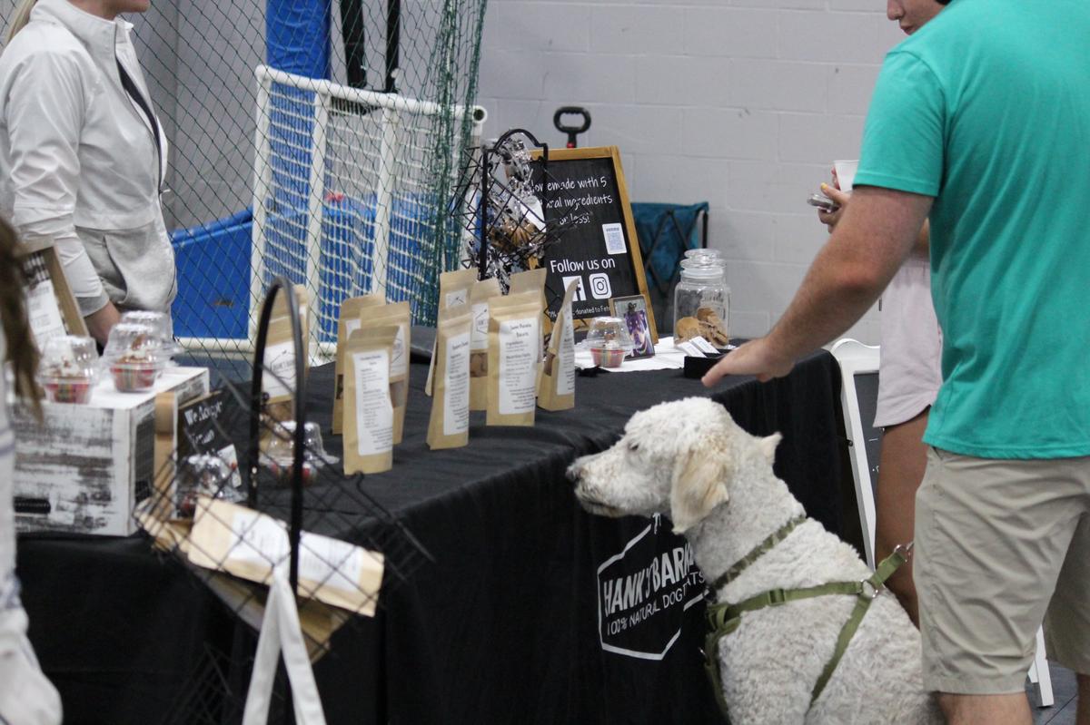 BringFido to Bark at the Park