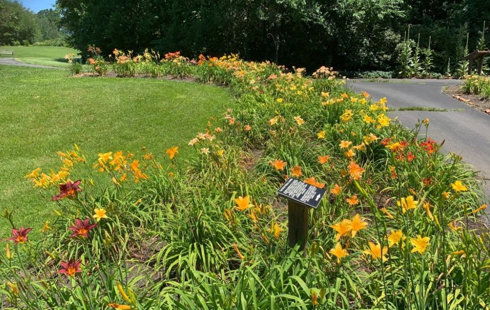 Pet Friendly Pup Stroll Wednesdays at Meadowlark Botanical Gardens