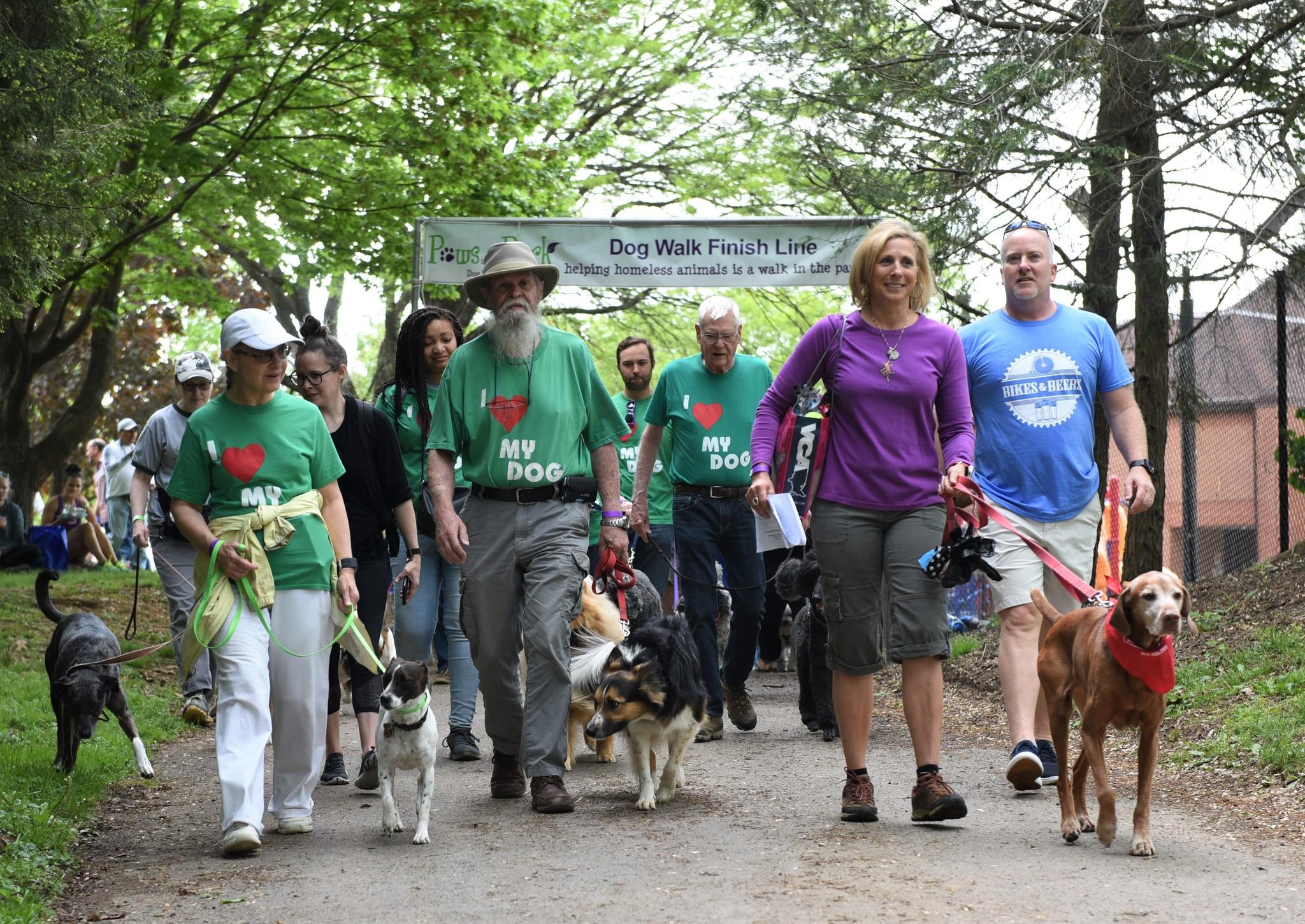 Pet Friendly Paws in the Park Dog Walk & Festival