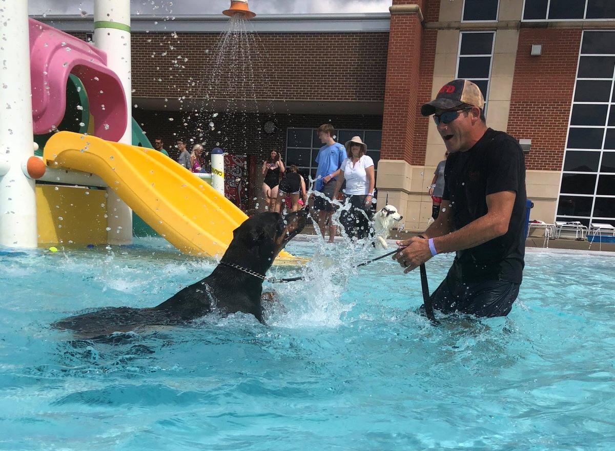 bark-n-splash-bash