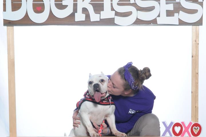 Pet Friendly Dog Kissing Booth