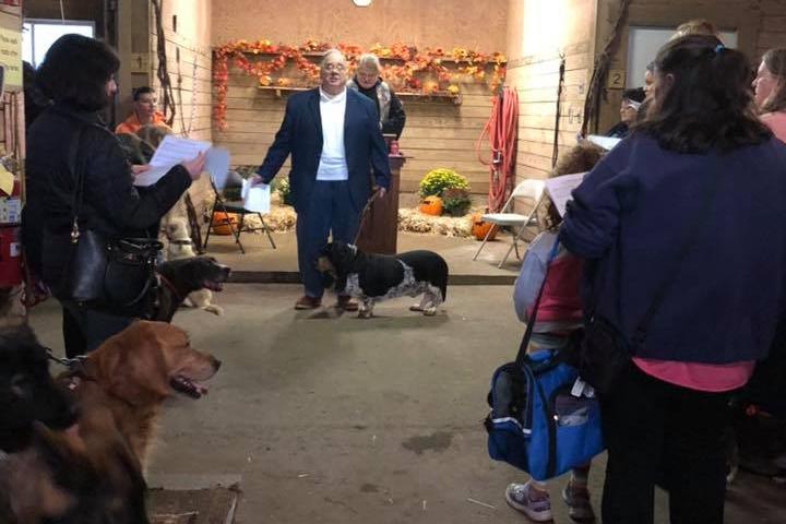 Pet Friendly Blessing of the Animals