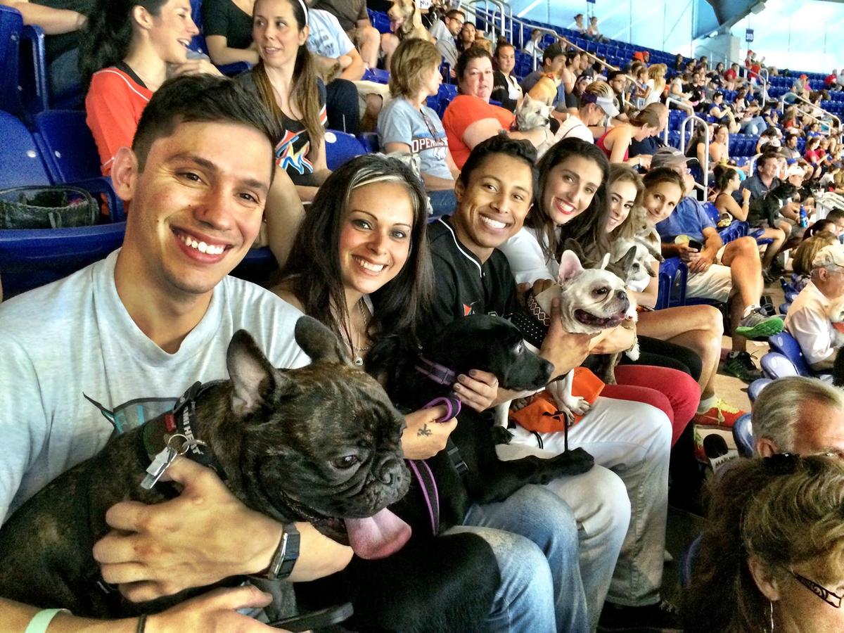 CANCELED Bark at the Park with the Miami Marlins