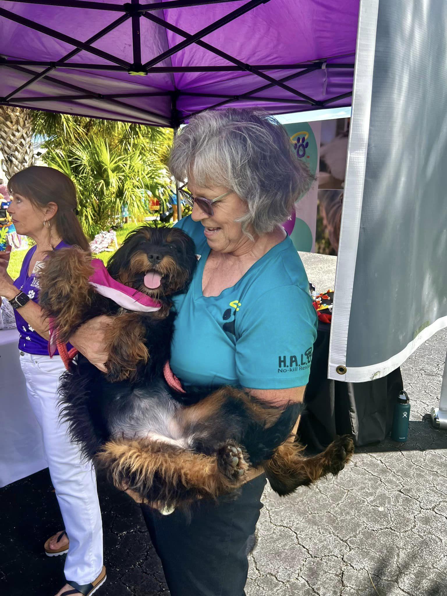 bringfido-to-spayghetti-no-balls-festival