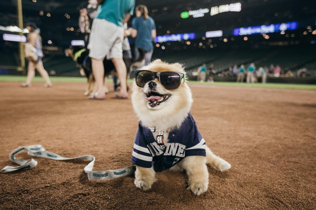BringFido to Bark at the Park with the Seattle Mariners