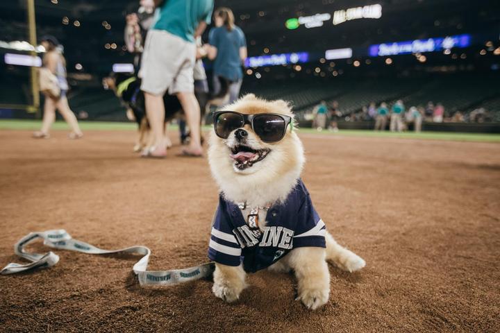 Pet Friendly Bark at the Park with the Seattle Mariners