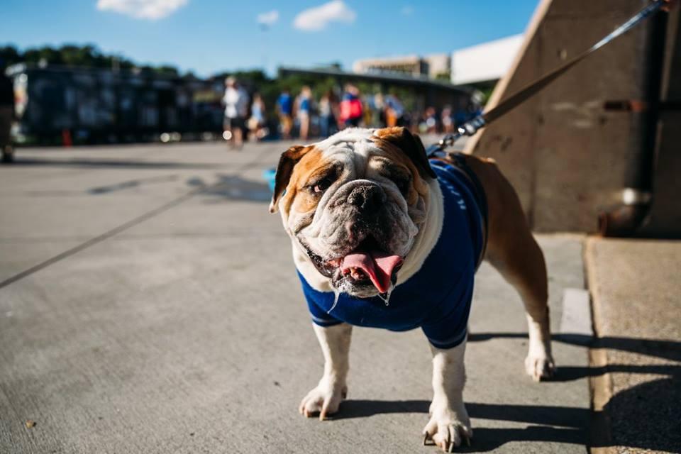 BringFido to Bark at the Park with the Kansas City Royals