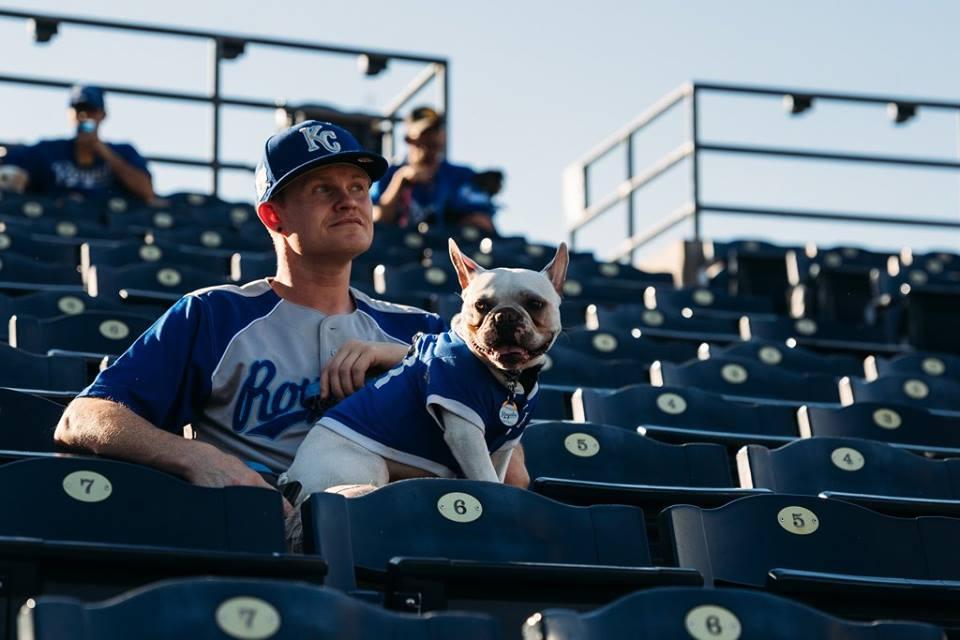 Kansas City Royals on X: 13/10 would recommend bringing doggos to Bark at  the Park.  / X