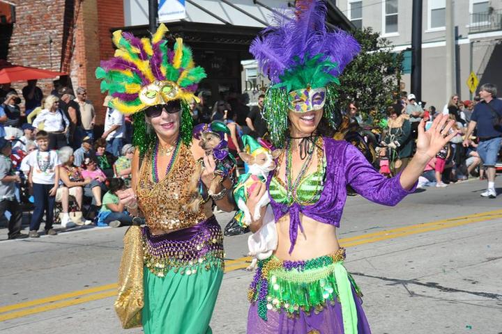 Pet Friendly DeLand Mardi Gras Dog Parade & Festival