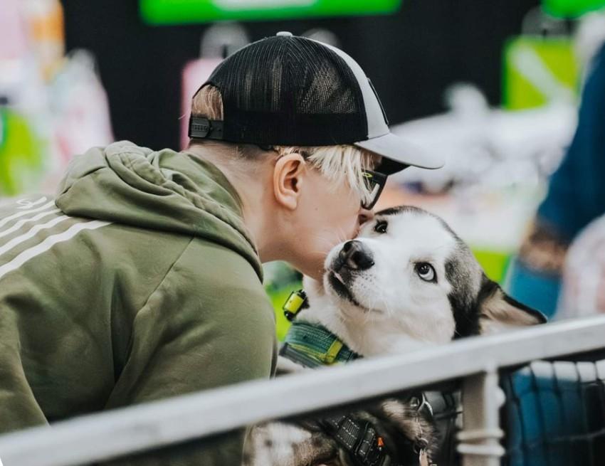 Pet Friendly Mid Michigan Pet Expo
