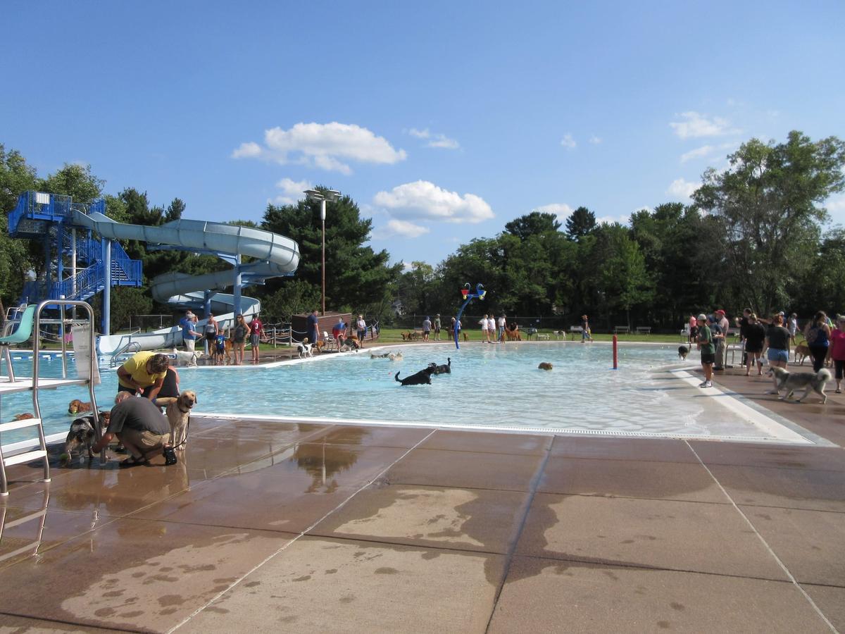 BringFido to Chippewa Falls Dog Swim