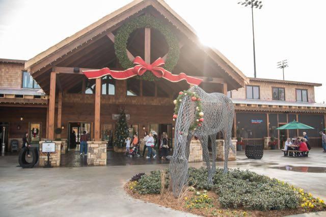 are dogs allowed at tryon international equestrian center