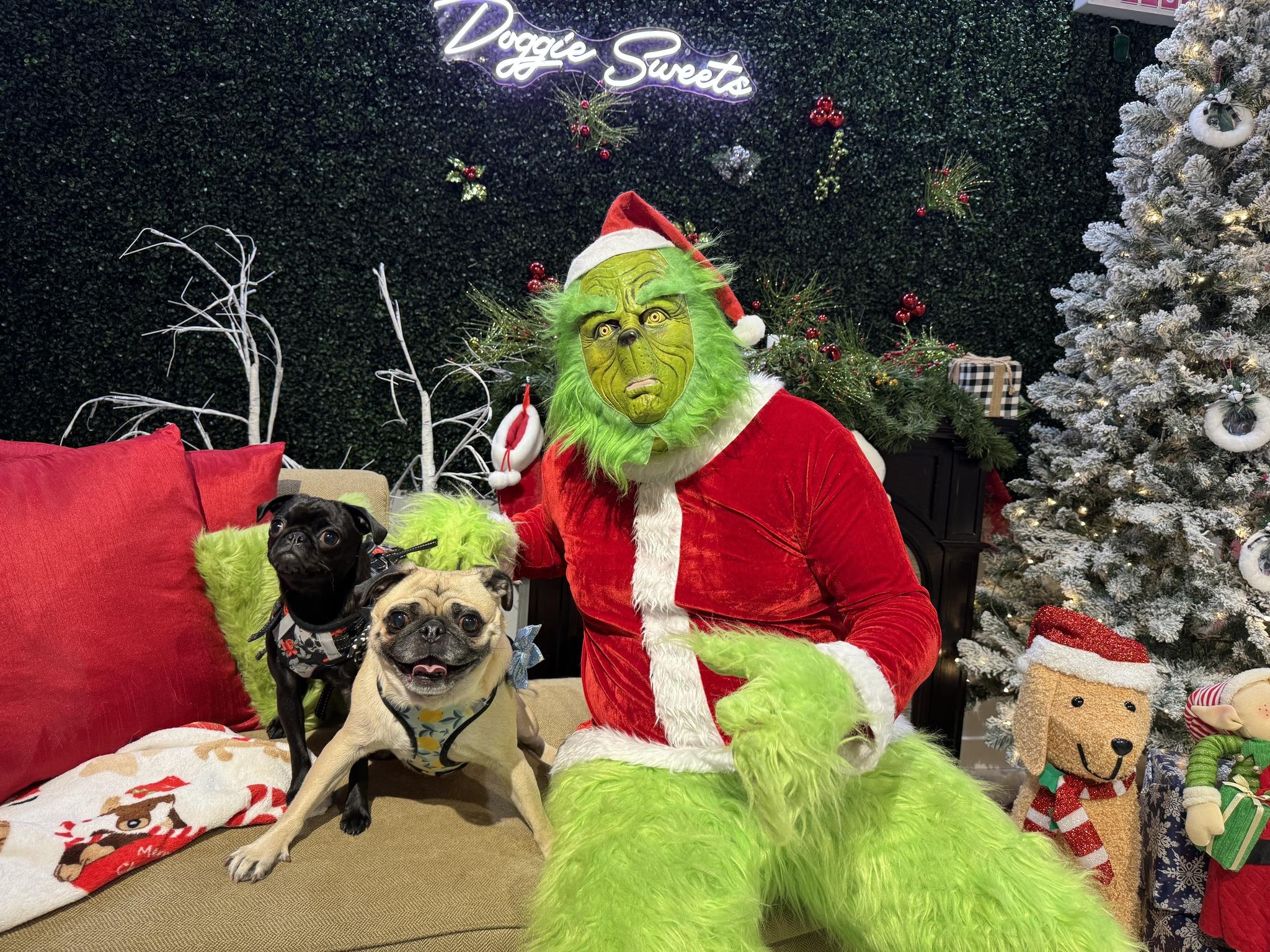 Pet Friendly Pictures with the Grinch