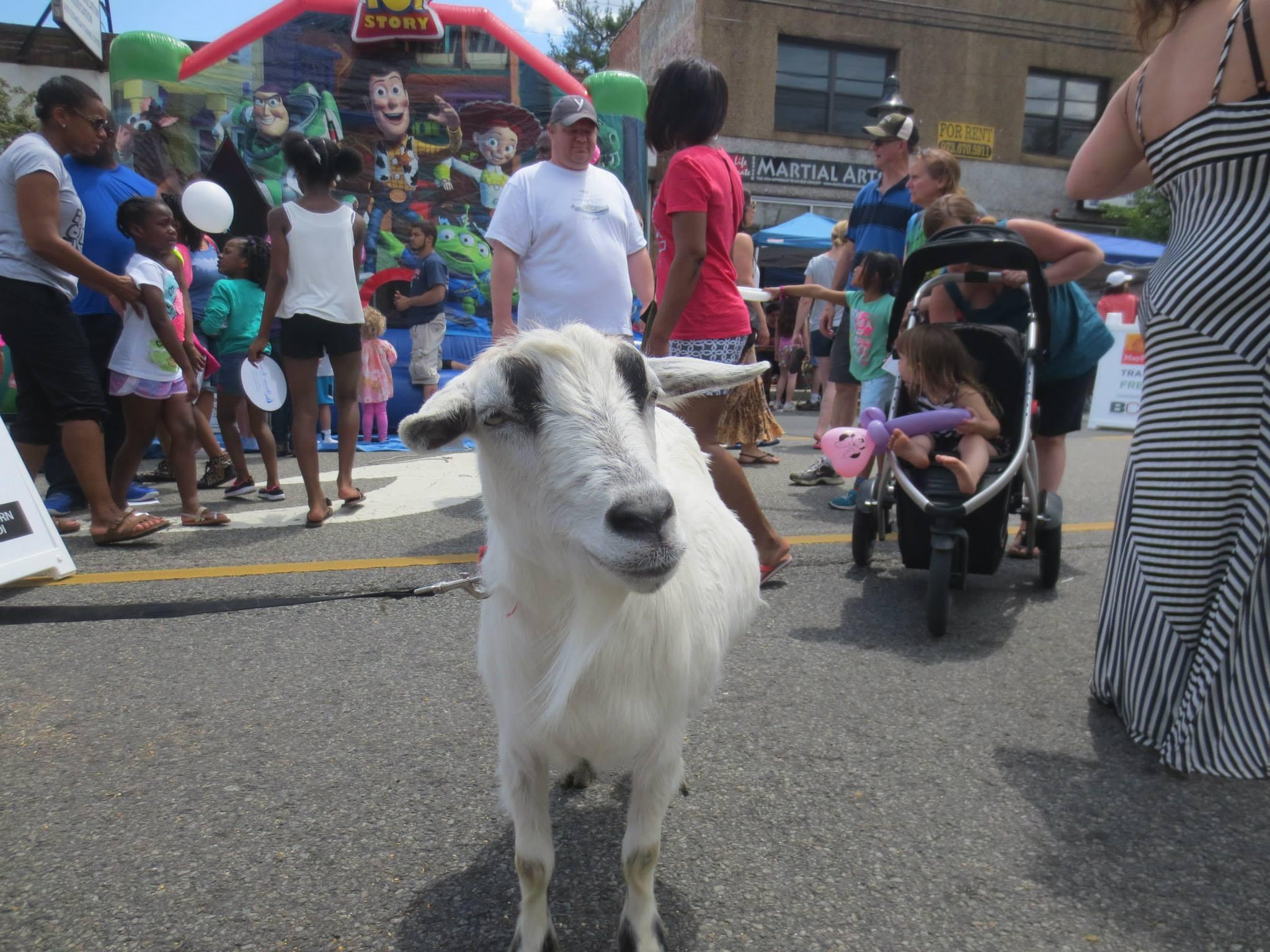 Pet Friendly MayFest Street Fair