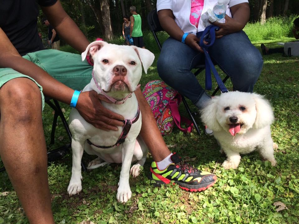Pet Friendly Baltimore Humane Society Dogfest
