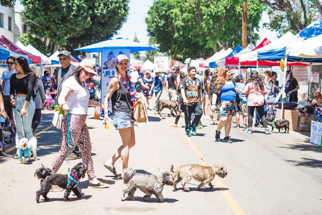 Dog Events Ca Bay Area 2022