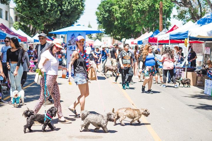 Dog Events In California Bringfido Dog Events Ca Bay Area 2022