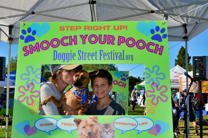 Pet Friendly Annual Doggie Street Festival Phoenix