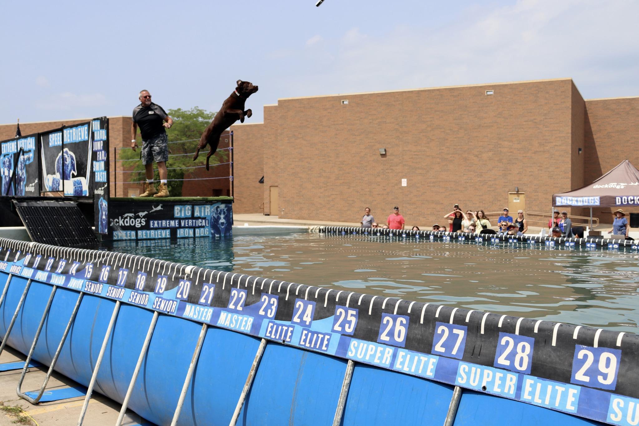 Pet Friendly Dock Dogs at Scheels Hunting Fest