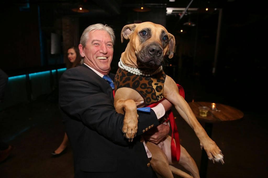 Pet Friendly Annual Houndstooth Ball