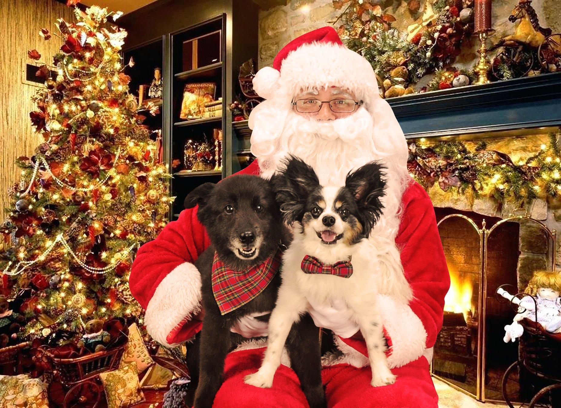 Picture Your Pet With Santa